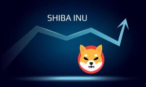 Shiba Inu Coin